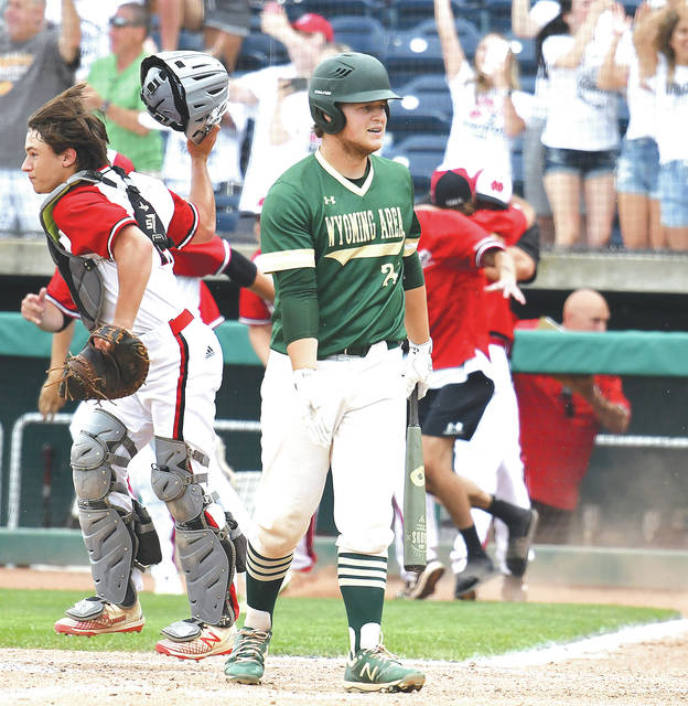 <p>Wyoming Area’s final batter in the game Jake Kelleher questioned the call strike three as the New Castle team celebrates in the background taking the victory 7-3 to capture the PIAA AAAA state championships.</p>
<p>Tony Callaio | For Sunday Dispatch</p>