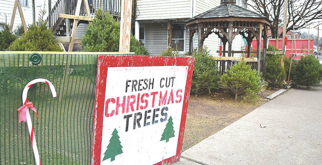 127989005_web1_Evans-Christmas-Trees-1-copy
There is still a variety of Christmas trees left at 260 Wyoming Ave., Wyoming, owned and operated by Dave Evans. Evans will be selling his inventory until Christmas Eve or its sold out.
Tony Callaio | For Sunday Dispatch