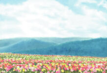
			
				                                Lois Pluskey’s “Tulip Time at Brown Hill Farms.”
 
			
		