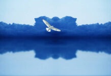 
			
				                                ‘Blue Horizon’ by Curtis Solonick.
                                 Submitted Artwork

			
		