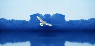 
			
				                                ‘Blue Horizon’ by Curtis Solonick.
                                 Submitted Artwork

			
		