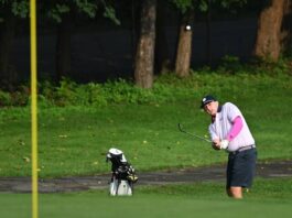 
			
				                                Pittston Area’s Nick Cook looks to chip in from 40 yards out at Fox Hill Country Club against Berwick Area.
                                 Tony Callaio | For Sunday Dispatch

			
		