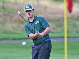 
			
				                                Wyoming Area junior Joey Day watches his ball head to the hole during match play against Berwick Area.
                                 Tony Callaio | For Sunday Dispatch

			
		