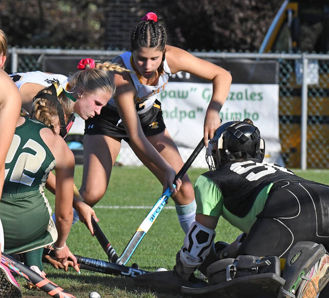 <p>Wyoming Area senior goalie Rylee Muniz, right, smothers a shot on goal attempt against Lake-Lehman.</p>
<p>Tony Callaio | For Sunday Dispatch</p>