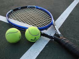 GIRLS TENNIS ROUNDUP: Wyoming Area places second in WVC, lands home playoff match
