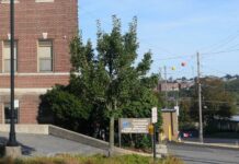 
			
				                                The entrance to Luzerne County’s first walk-in mental health crisis and stabilization center is along East Broad Street in Hazleton near the city’s downtown area. County council earmarked $800,000 in federal American Rescue Plan Act funding for the project.
                                 Jennifer Learn-Andes | Times Leader

			
		