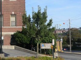 
			
				                                The entrance to Luzerne County’s first walk-in mental health crisis and stabilization center is along East Broad Street in Hazleton near the city’s downtown area. County council earmarked $800,000 in federal American Rescue Plan Act funding for the project.
                                 Jennifer Learn-Andes | Times Leader

			
		