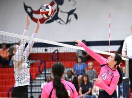 
			
				                                Patriot Jillian Haas (19) gets the ball over the outstretched arms of Warrior senior Sara Pealer (29) during Wednesday’s match at Pittston Area.
                                 Tony Callaio | Sunday Dispatch

			
		
