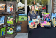 
			
				                                Leandra Hetro stands at her booth during one of Pittston’s Second Friday Artwalks. Her artwork will be exhibited at Art e Fekts Gallery, Pittston, from 5 p.m. to 7 p.m. Friday, Oct. 24.
                                 Submitted photo

			
		