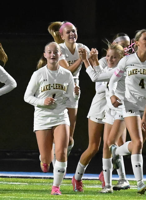 <p>Lake-Lehman’s Kinley Purdy (8) leaps in the air after tying the game 2-2 against Wyoming Area for the WVC Division 2 championship.</p>
<p>Tony Callaio | For Times Leader</p>