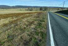 Future data centers are driving up forecasts for energy demand; States want proof they’ll get built
This stretch of land between the Conodoguinet Creek and Country Club Road near Carlisle, Pennsylvania, is in the planning stages to become a $15 billion data center complex, Friday Nov. 14, in Carlisle.
AP Photo