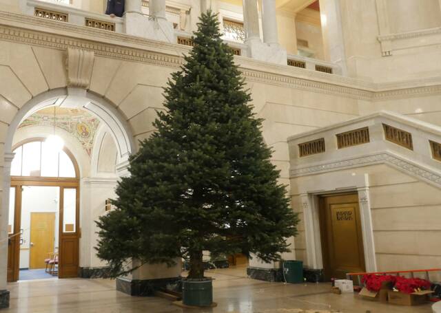 <p>Luzerne County employees will decorate the courthouse holiday tree with lights and ornaments that have been used for years. The official public tree-lighting ceremony, which includes performances by area choirs, will be held at 5 p.m. Dec. 4.</p>
<p>Jennifer Learn-Andes | Times Leader</p>
