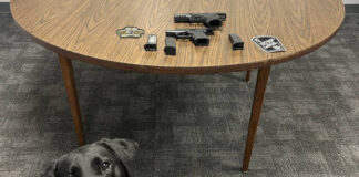 
			
				                                Luzerne County Sheriff’s Department K-9 Hylee is shown with her first on-duty find — a gun that was buried under a stack of clothes inside a bedroom dresser. After observing her skill, the suspect gave up a second gun and gun magazine, also on the table.
                                 Submitted photo

			
		