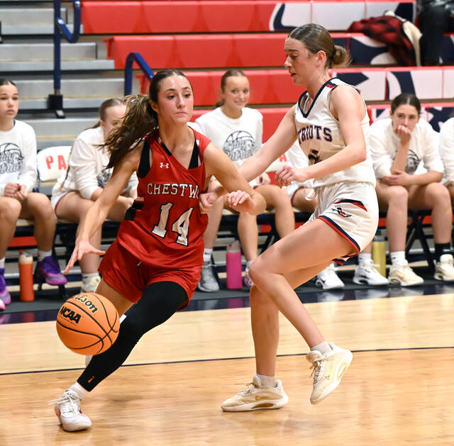 132006767_web1_Crestwood-Pittston-Area-GBsktl-5
Crestwoods Jordan Andrews (14) looks to drive the baseline as she gets past Pittston Areas Bella Dessoye.
Tony Callaio | For Times Leader