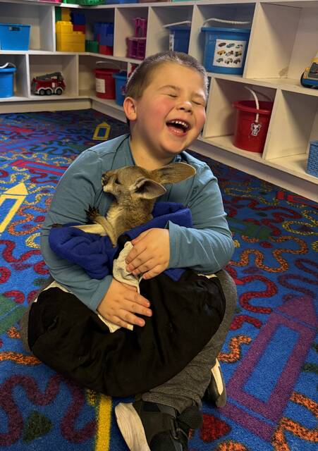 <p>William Langdon laughs as he holds the baby kangaroo.</p>
<p>Submitted Photo</p>