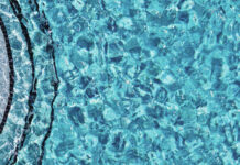 GIRLS SWIMMING ROUNDUP: Lady Warriors win two straight