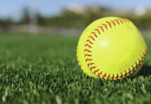 WYOMING AREA SPRING SPORTS PREVIEWS: Snyder returns to lead Warriors