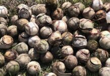 Warriors scored 14 in first in win vs. Hanover Area