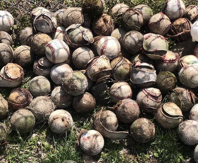 132272545_web1_IMG_E3432