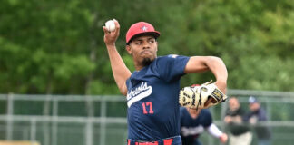 
			
				                                Pittston Area starter Elijah Barr pitched a complete game as the Patriots advanced to the District 2 Class 5A championship game.
                                 Tony Callaio | For Times Leader

			
		