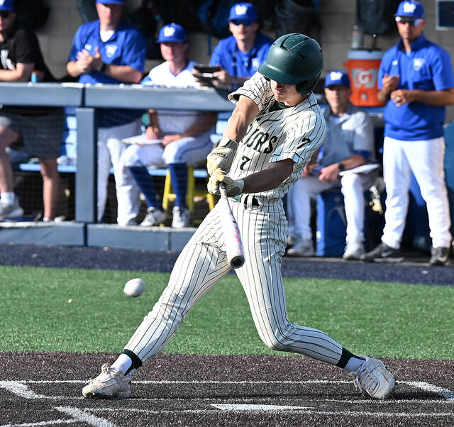<p>Wyoming Area’s Jacob Synder singles to score David Favata in the fifth inning.</p>
<p>Tony Callaio | For Times Leader</p>