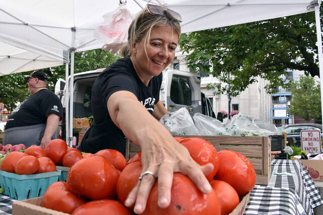 132433556_web1_FarmersMarket01
This years Wilkes-Barre Farmers Market season will officially open at 10 a.m. Thursday<ins>, June 18,</ins> on Public Square. Live entertainment will be provided by Leighann & Company from noon to 2 p.m., and the market will close at 3 p.m. This years vendors include a variety of farm stands, food trucks, nonprofits, and more. Shown: Amanda Banta stocks tomatoes at the Rowlands Pennsylvania Produce stand on the opening day of last years Wilkes-Barre Farmers Market.
Elizabeth Baumeister | Times Leader File Photo