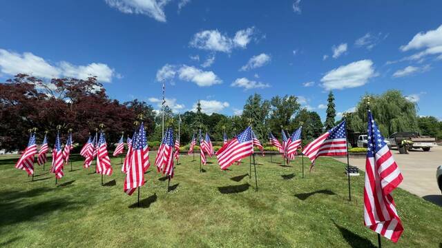 <p>Flags have been planted on the Luzerne County Courthouse in Wilkes-Barre as part of the nation’s 250th celebration.</p>
<p>Submitted photo</p>