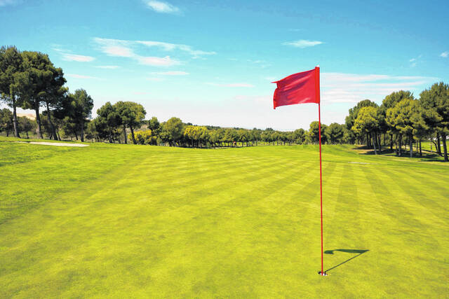 132472531_web1_Golf_Flag_On_Green