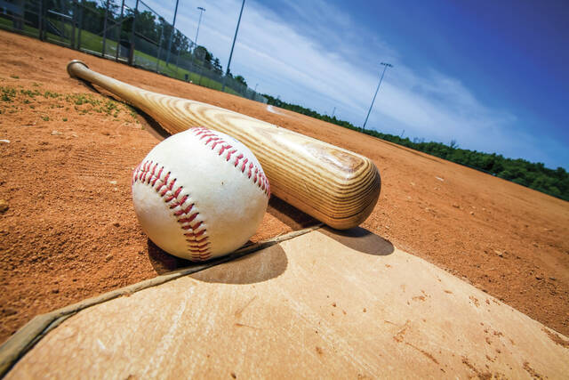 132472596_web1_baseball